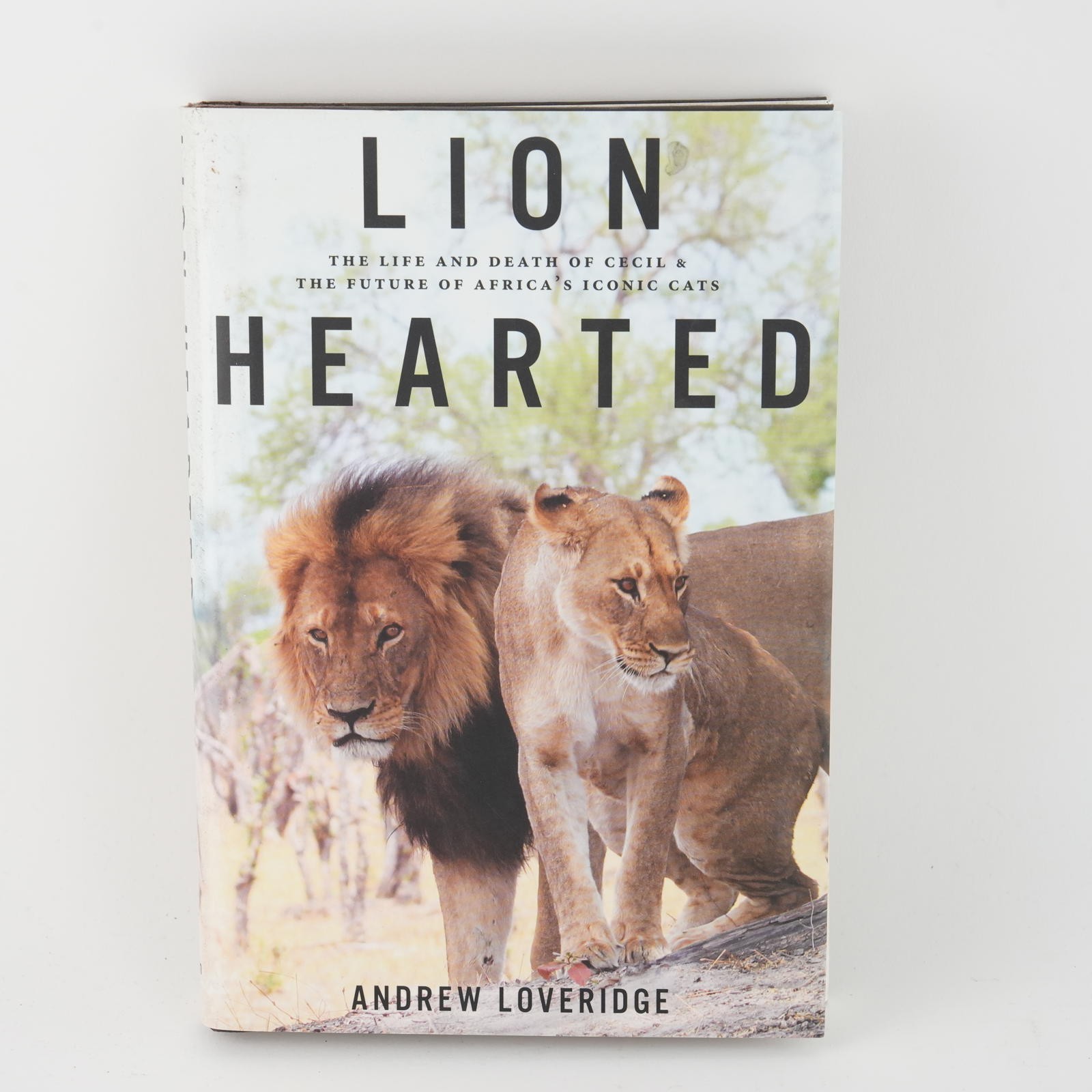 Lion Hearted: The Life and Death of Cecil & the Future of Africa’s Iconic Cats