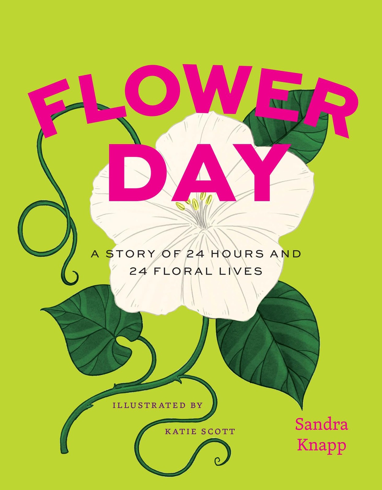 Flower Day: A Story of 24 Hours and 24 Floral Lives (Earth Day)