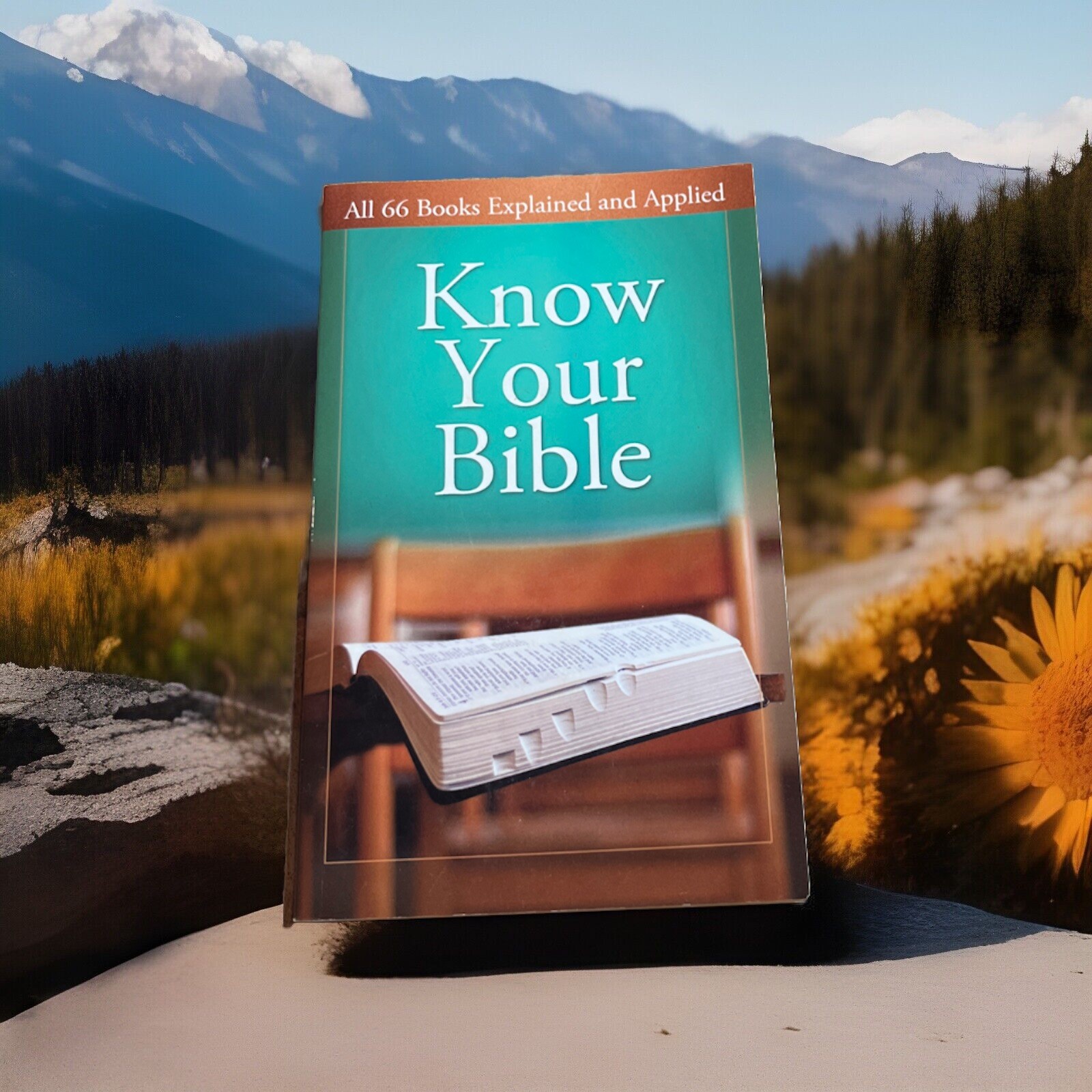 Value Bks.: Know Your Bible : All 66 Books Explained and Applied by Paul Kent