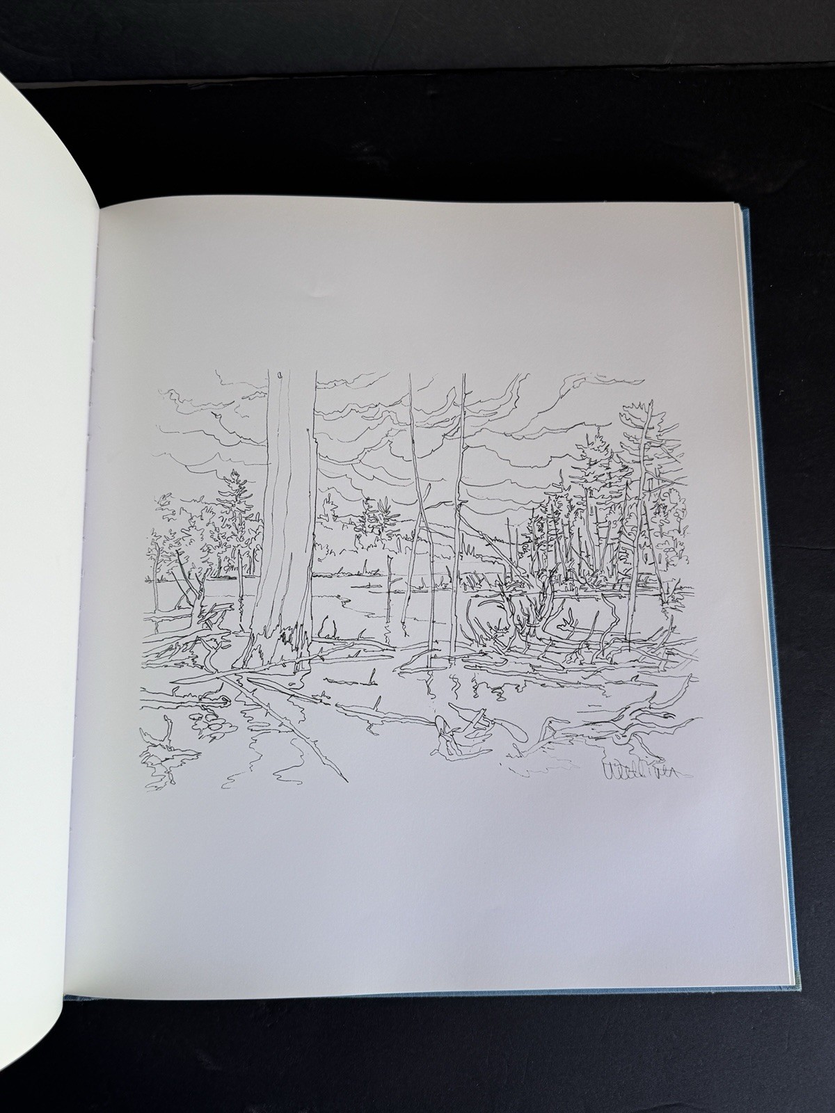 Neil Welliver Art Monograph Hardcover 1985 Rizzoli w/ Dust Jacket Large Format