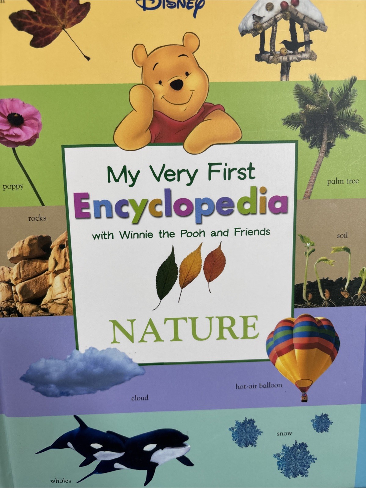 My Very First Encyclopedia with Winnie the Pooh and Friends Ser.: My Very First