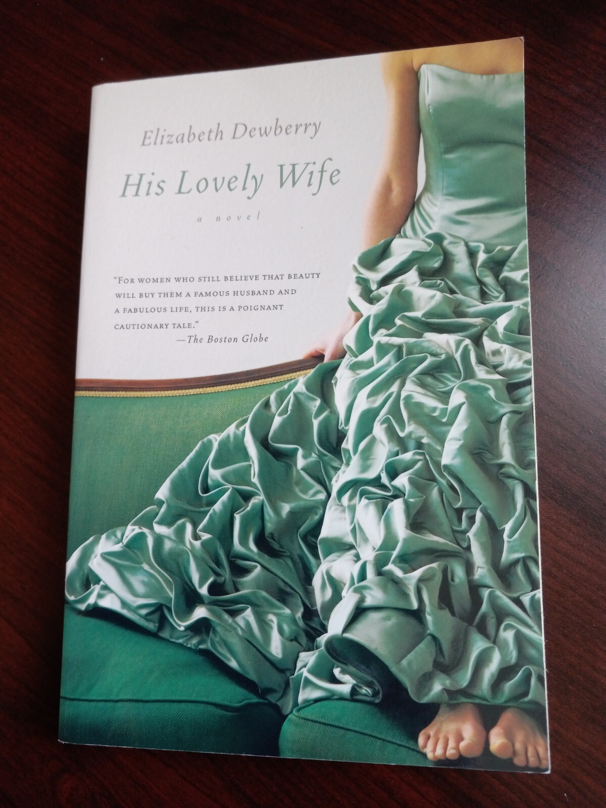 His Lovely Wife a novel Paperback
