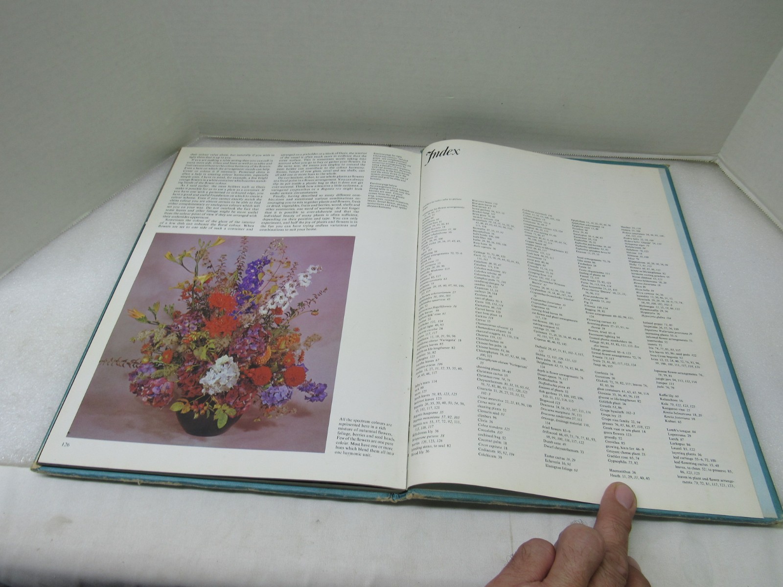 Plants & Flowers In The Home Violet Stevenson Longmeadow Press 1975 Hardcover