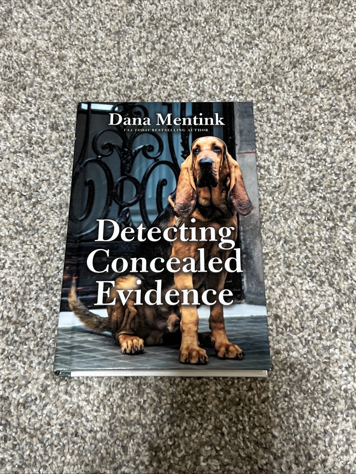 Detecting Concealed Evidence by Dana Mentink (2026, Library Binding)