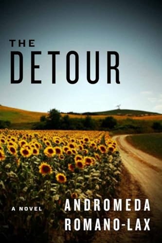 The Detour A Novel – GOOD