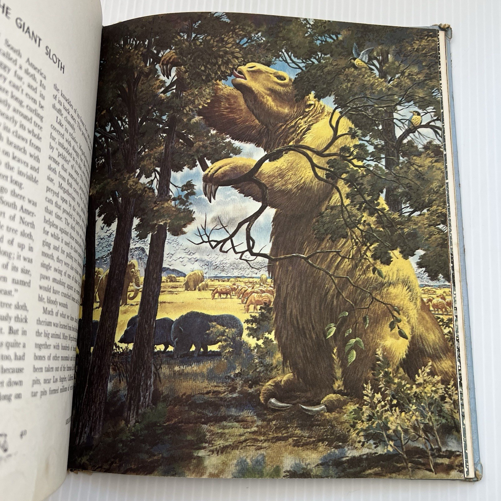 Album of Prehistoric Animals by Tom McGowen (1975) Vintage, Dinosaurs, Education