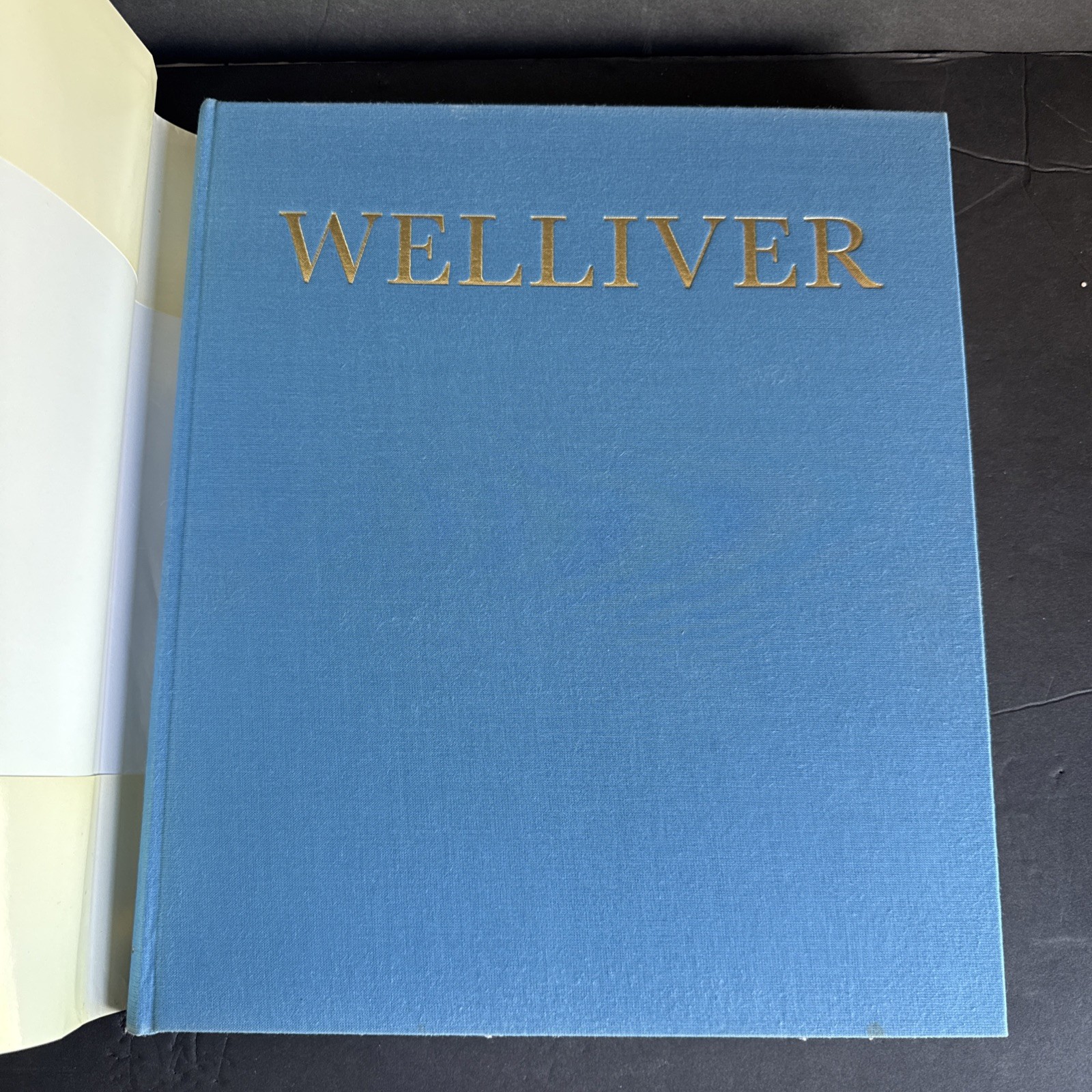 Neil Welliver Art Monograph Hardcover 1985 Rizzoli w/ Dust Jacket Large Format