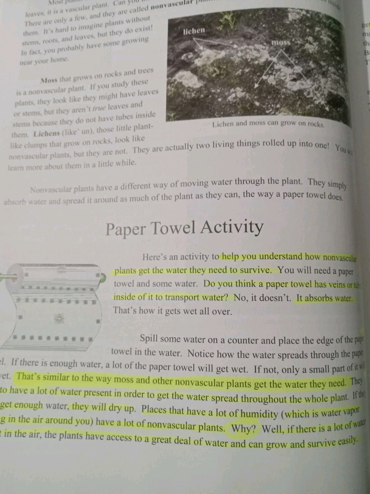 Exploring Creation with Botany, Textbook [ Jeannie Fulbright ] Used Good