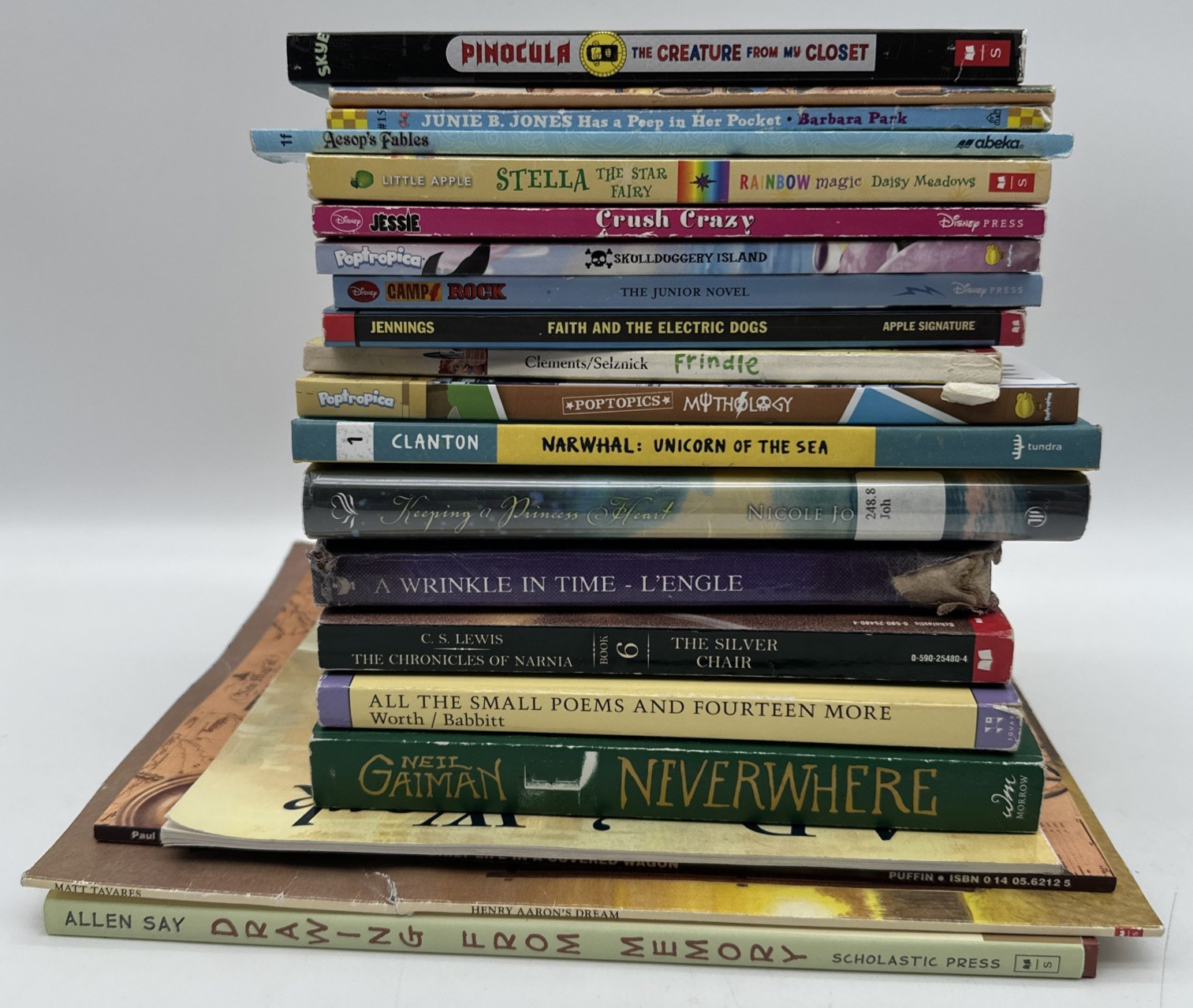 Lot of 20 Chapter Books Graphic Novels Kids Mixed Lot Acceptable Condition