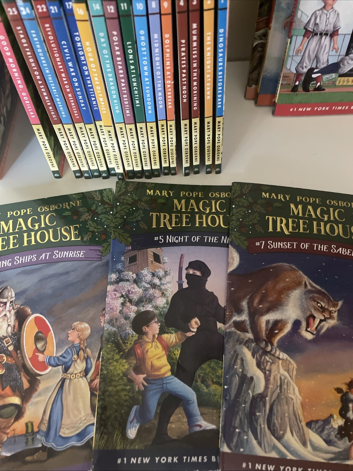 Magic Tree House Lot of 29 Books by Mary Pope Osborne Chapter Book Series