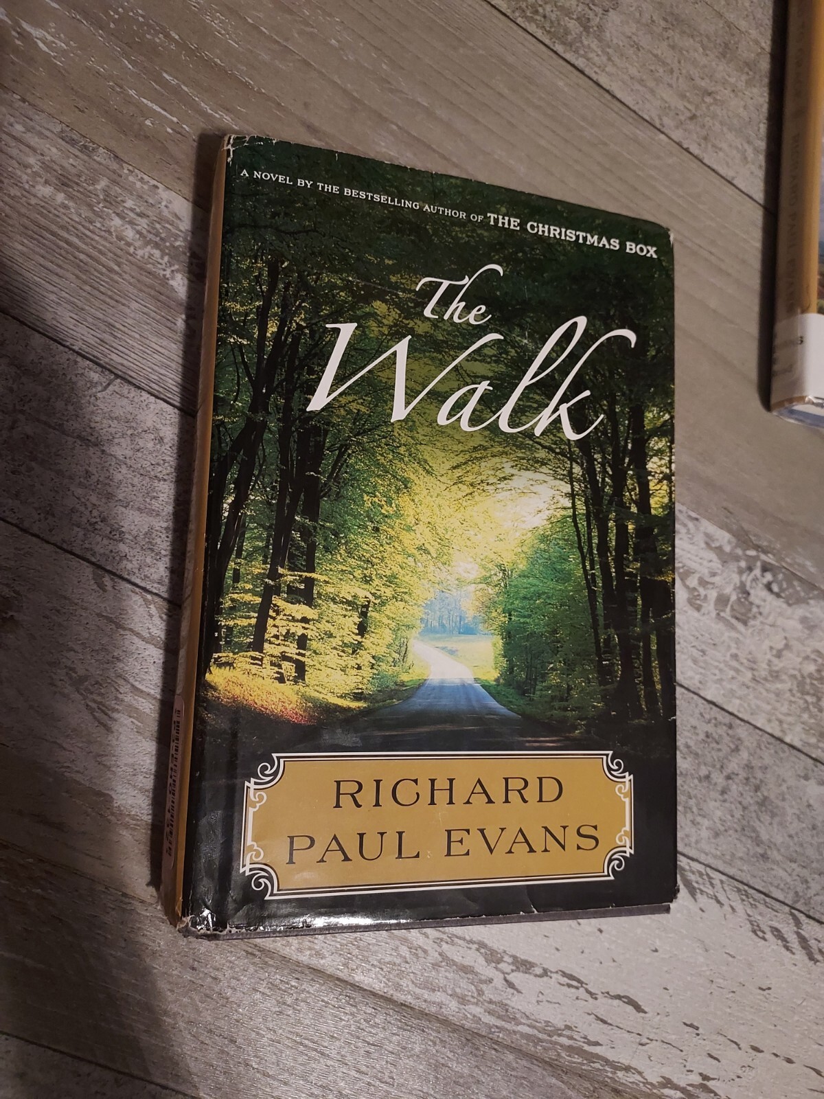 Books Used Richard Paul Evans