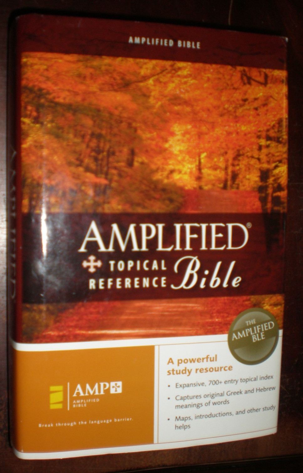 Amplified Topical Reference Bible by Zondervan Staff (2006, Hardcover) LIKE NEW