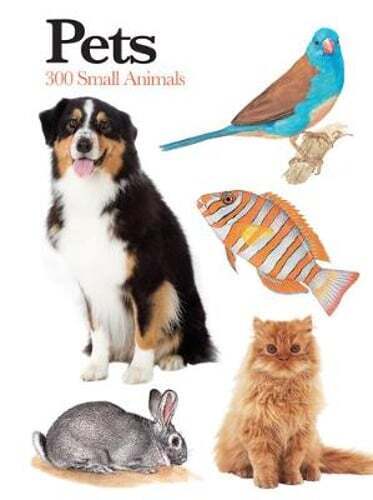 Pets: 300 Small Animals by Claudia Martin: Used