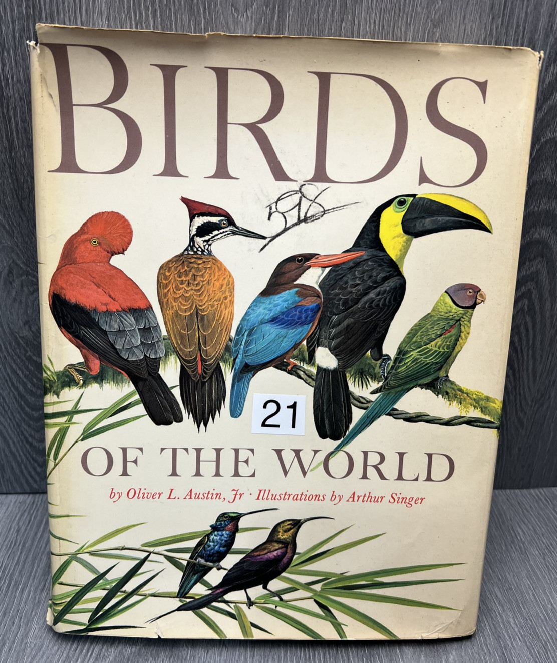 Vintage 1961 Birds of the World by Oliver L. Austin Jr., Illus. Arthur Singer