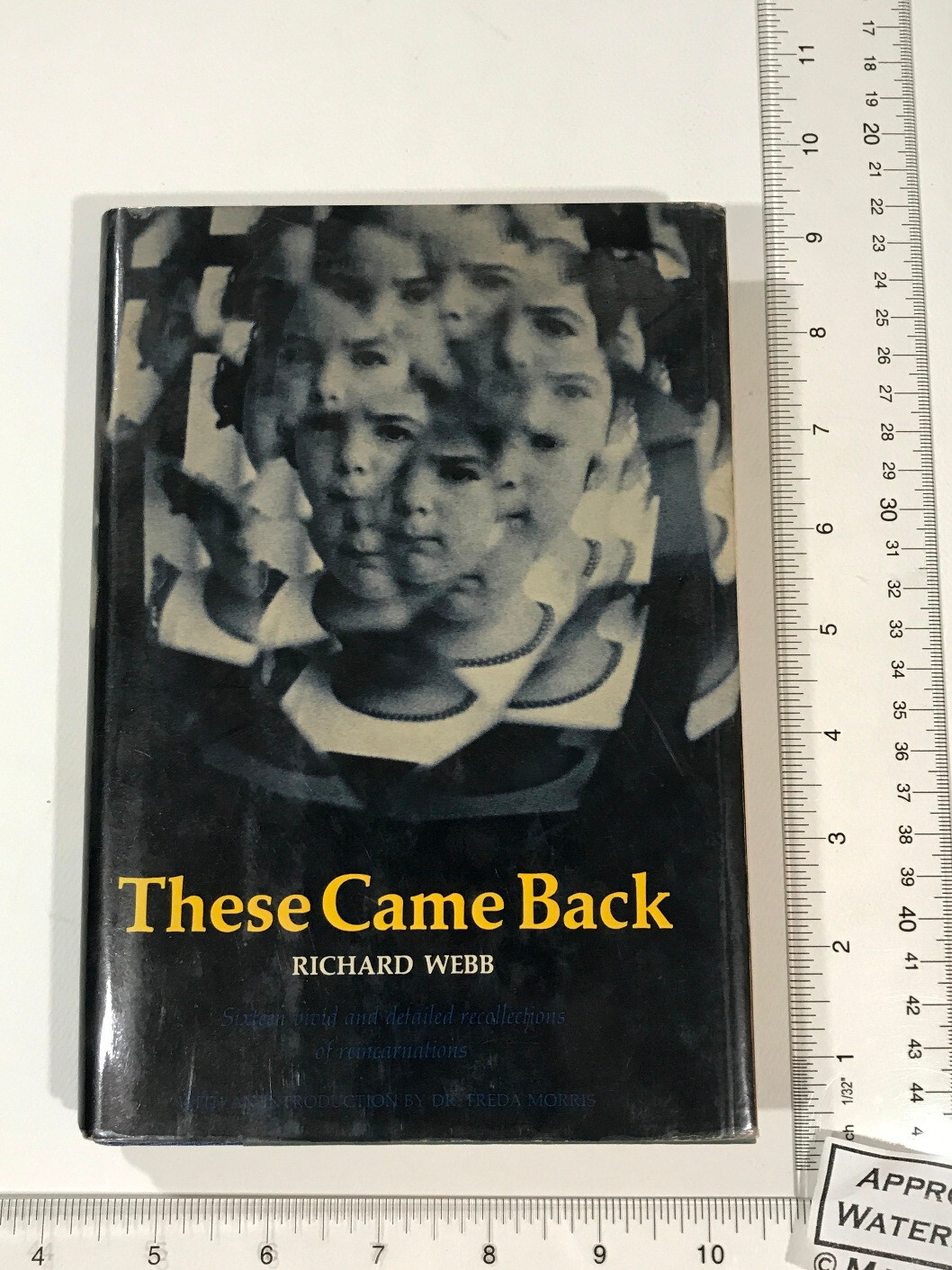 Richard Webb 1974 These Came Back * HBDJ 1st * Reincarnation mulitple lives soul