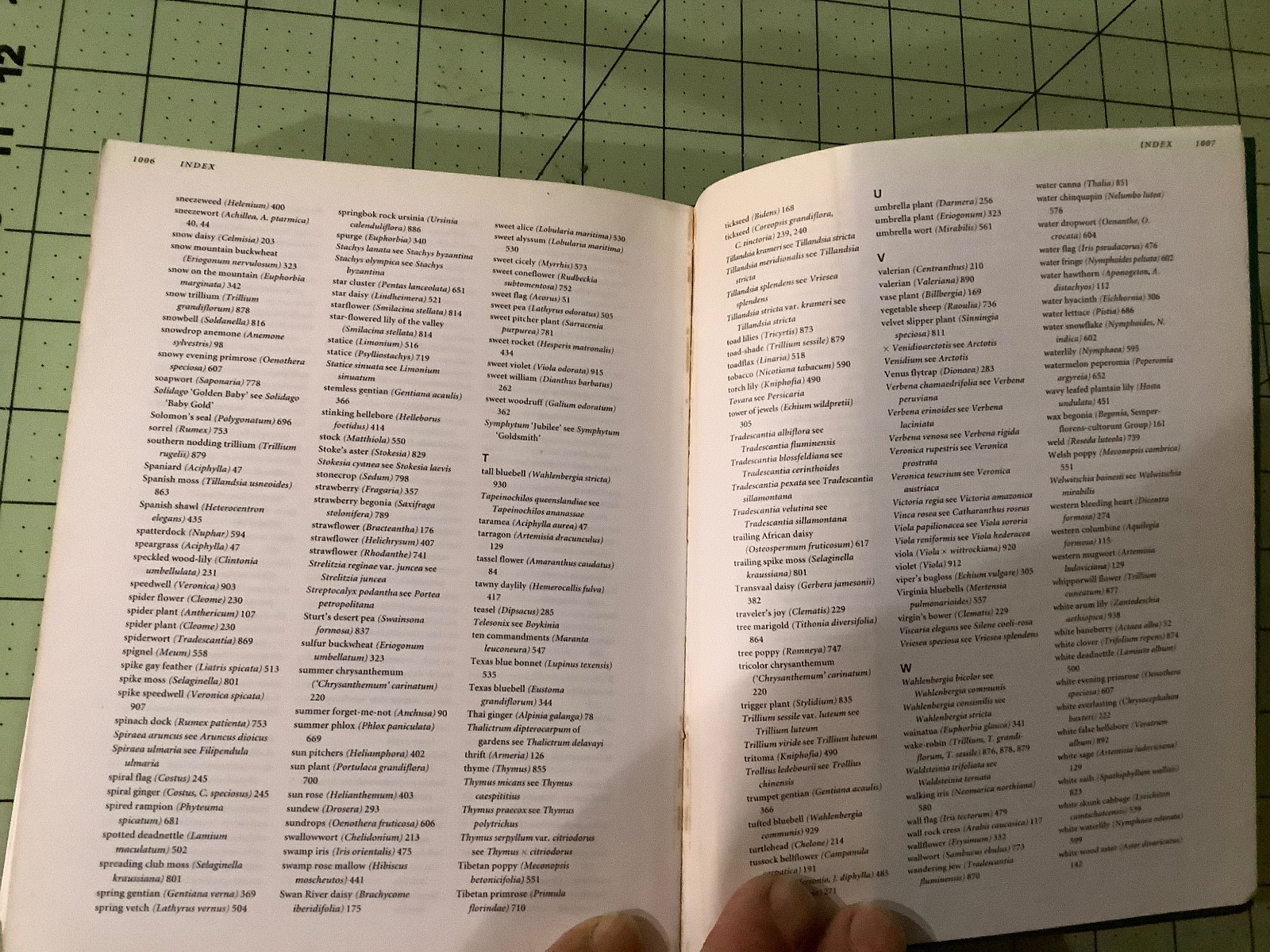 BOTANICAS ANNUALS AND PERENNIALS – Thick Paperback – VERY GOOD