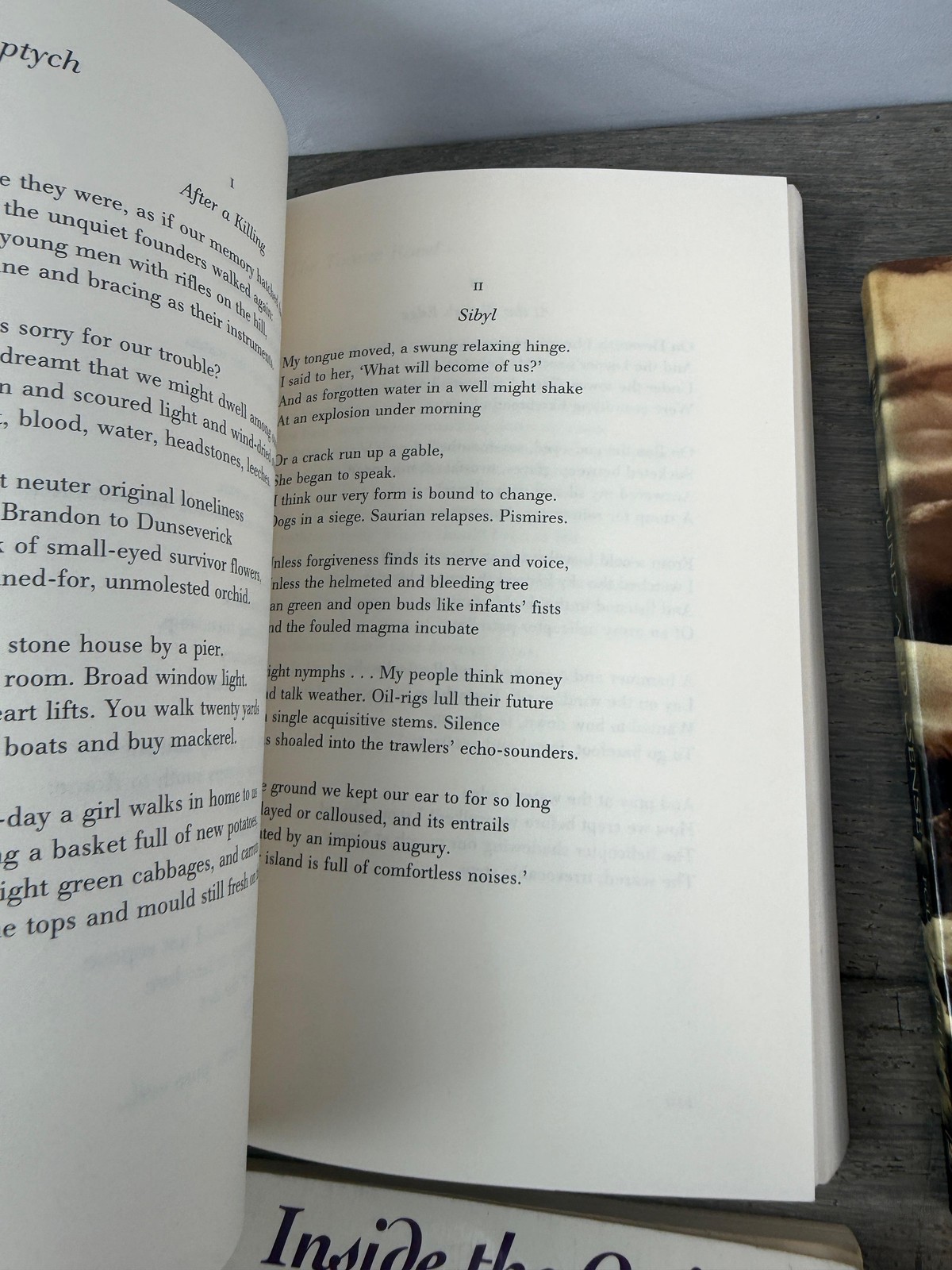 Vintage Poetry Lot Of 6 Heaney Perrine Kabir Nemerov Roethke Books Erotic Poems