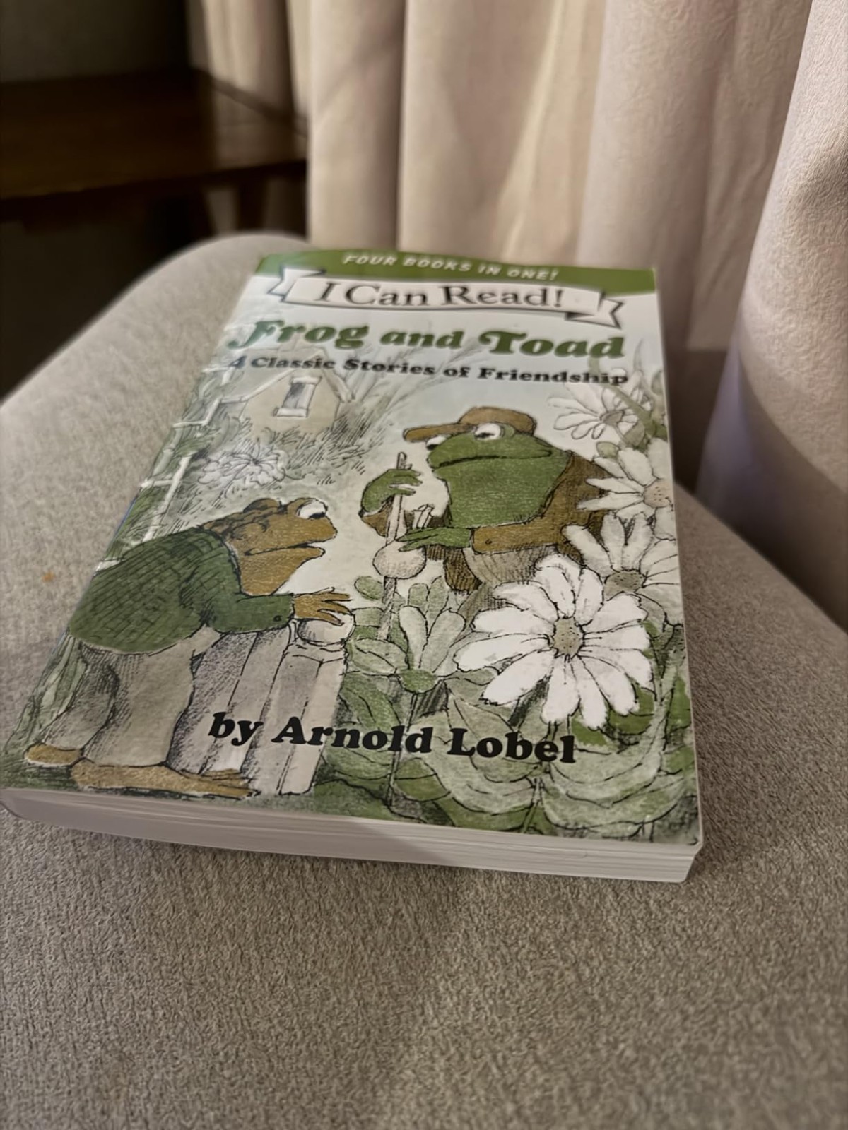 Frog and Toad 4 Stories Paperback Kids Book Ages 4-8 Reading Level 2 Set New USA