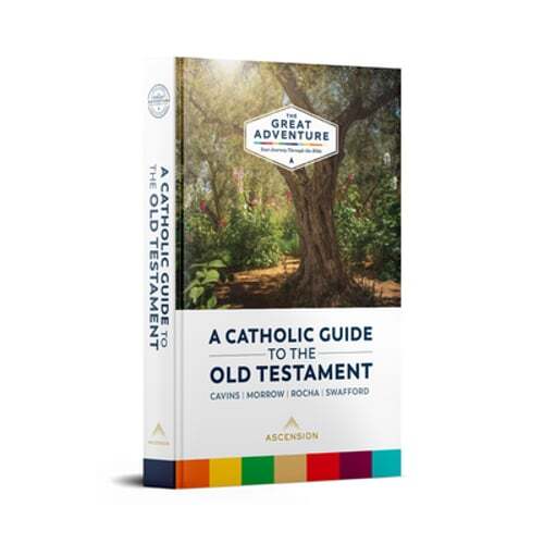 Catholic Guide to the Old Testament by Jeff Cavins: Used