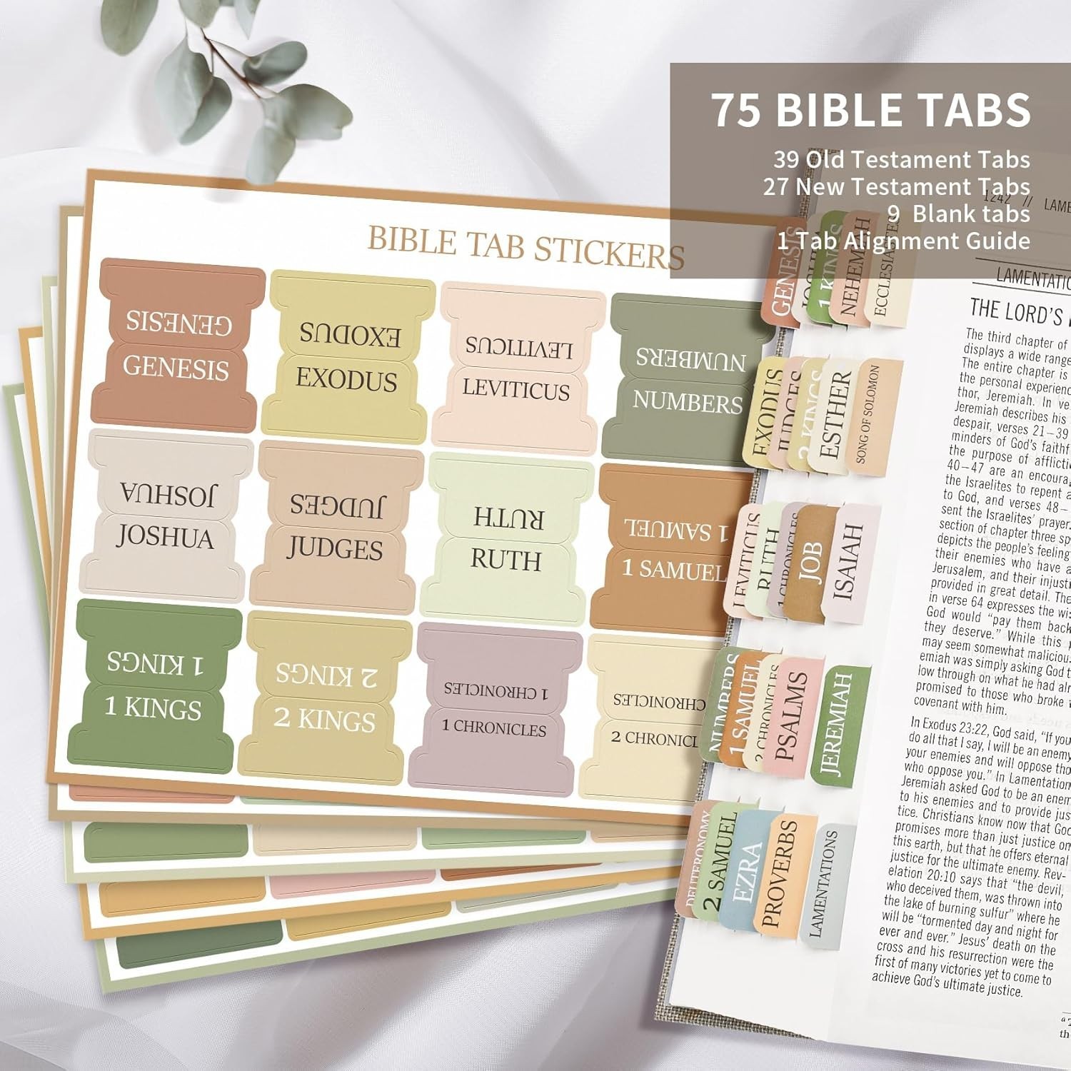 KJV Holy Bible Large Print LeatherTouch Red Letter King James w/ Bible Tabs Gift