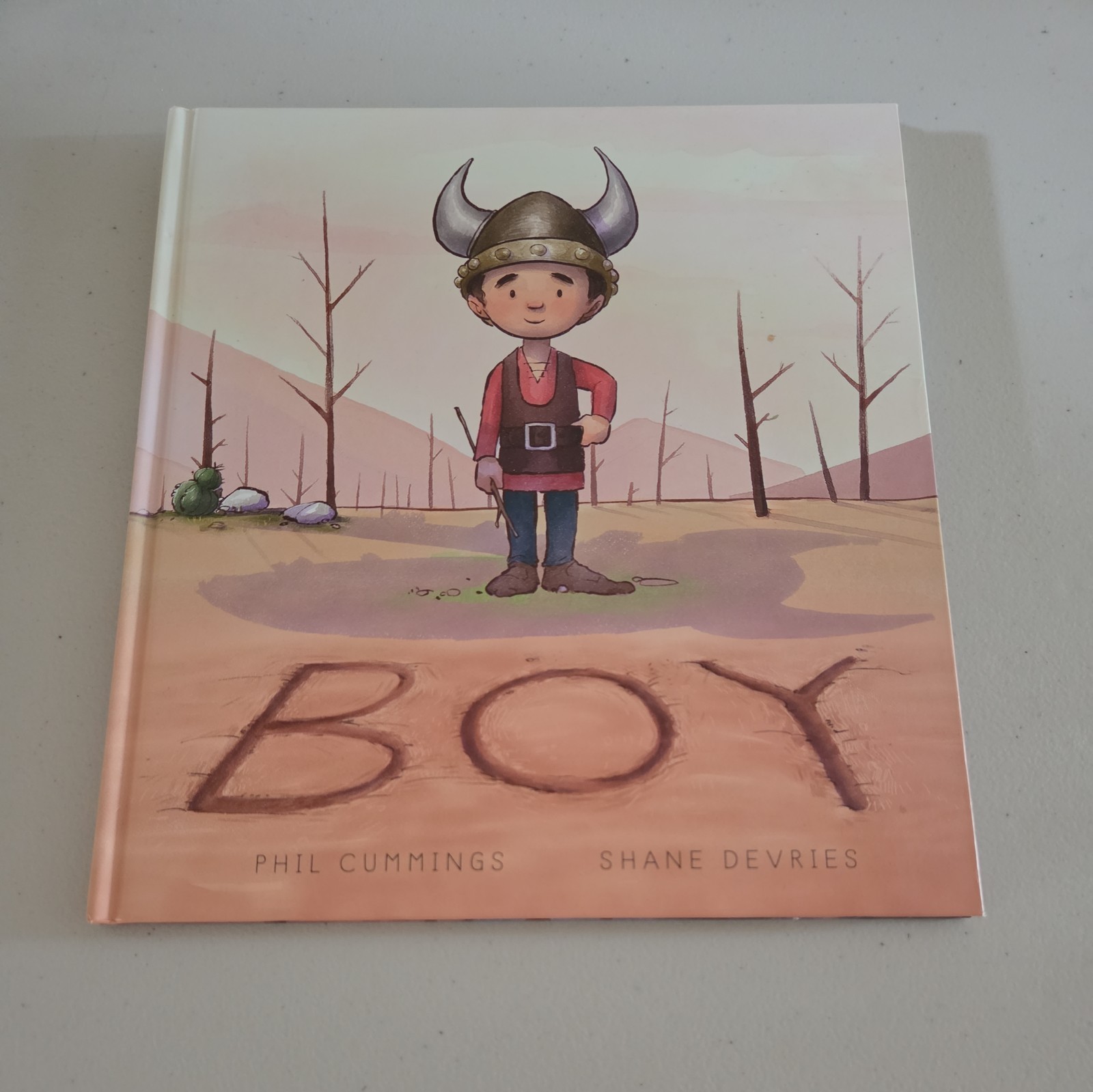 Kane Miller Boy by Phil Cummings Illustrated by Shane Devries Hardcover