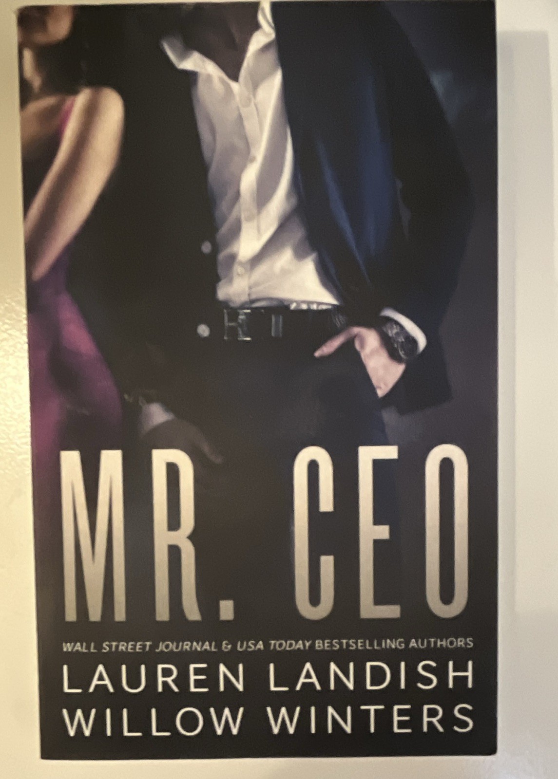 Mr. CEO by Lauren Landish & Willow Winters (2019, Trade Paperback, Romance)