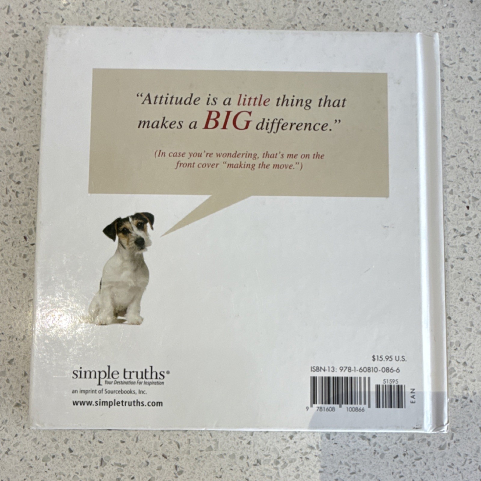 Attitude Is Everything: 10 Rules for Staying Positive Hardcover Vicki Hitzges