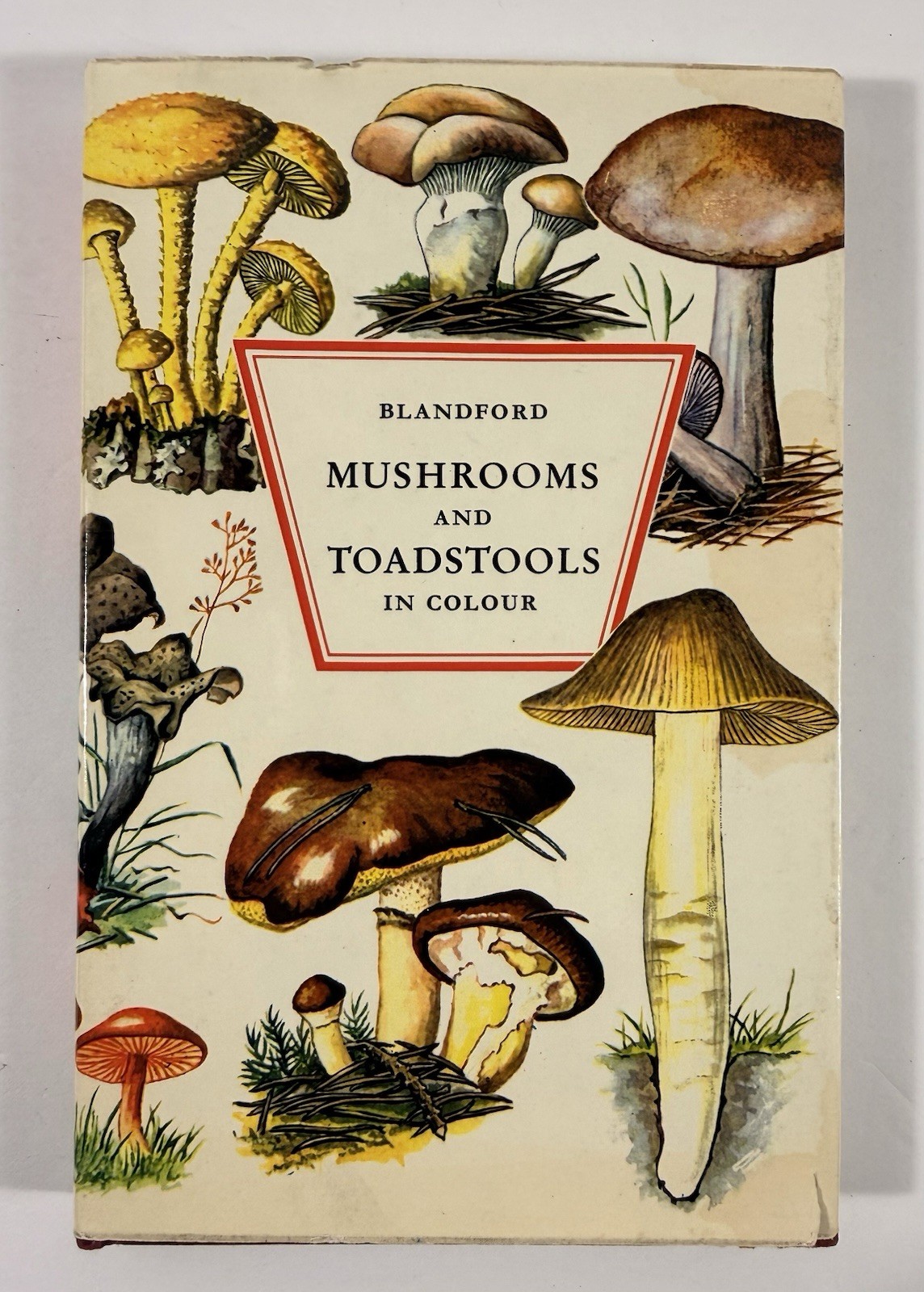 1961 Mushrooms Toadstools in Colour Blandford First Edition Dust Jacket Hvass