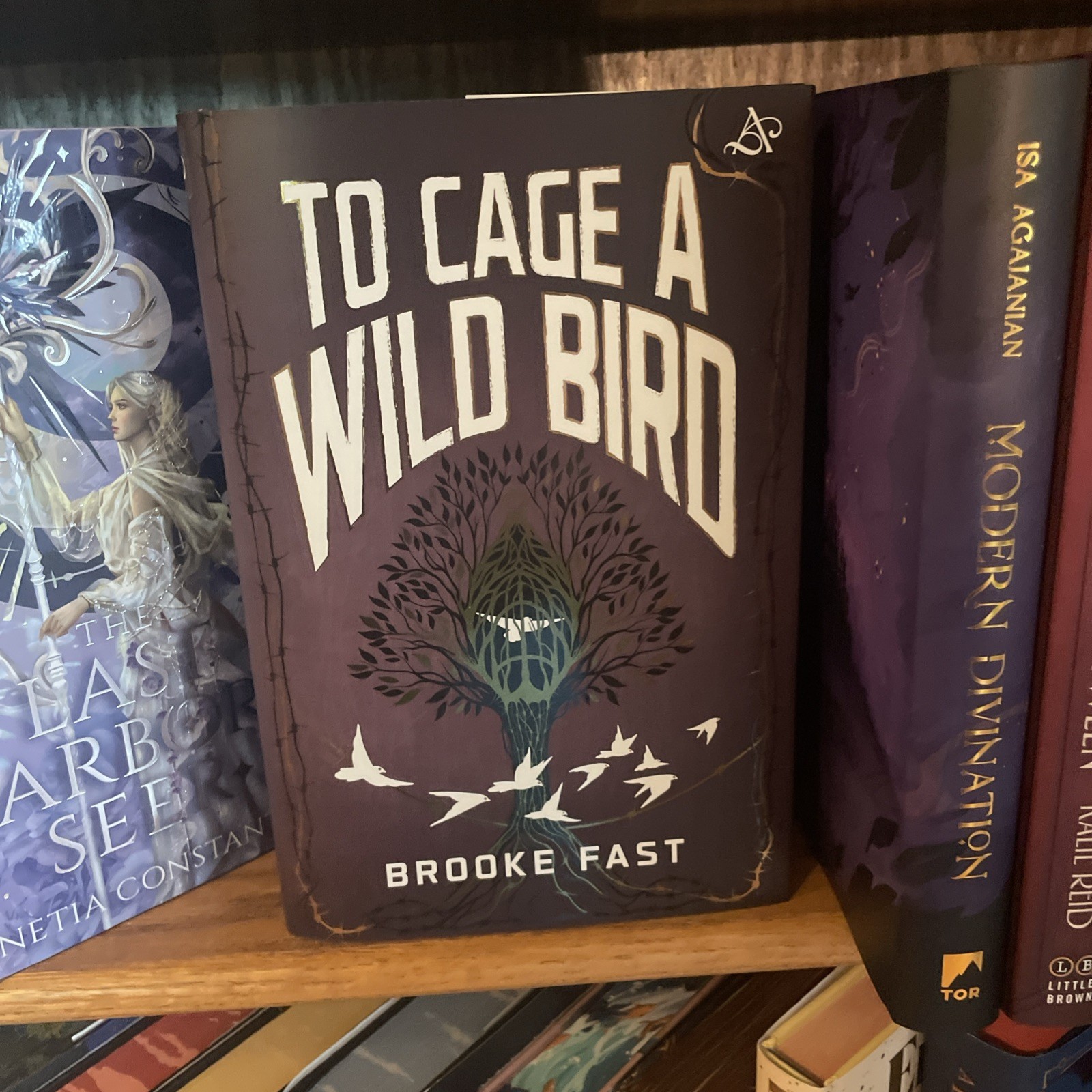 To Cage A Wild Bird By Brooke Fast Allurial Special Edition Edges Hardcover