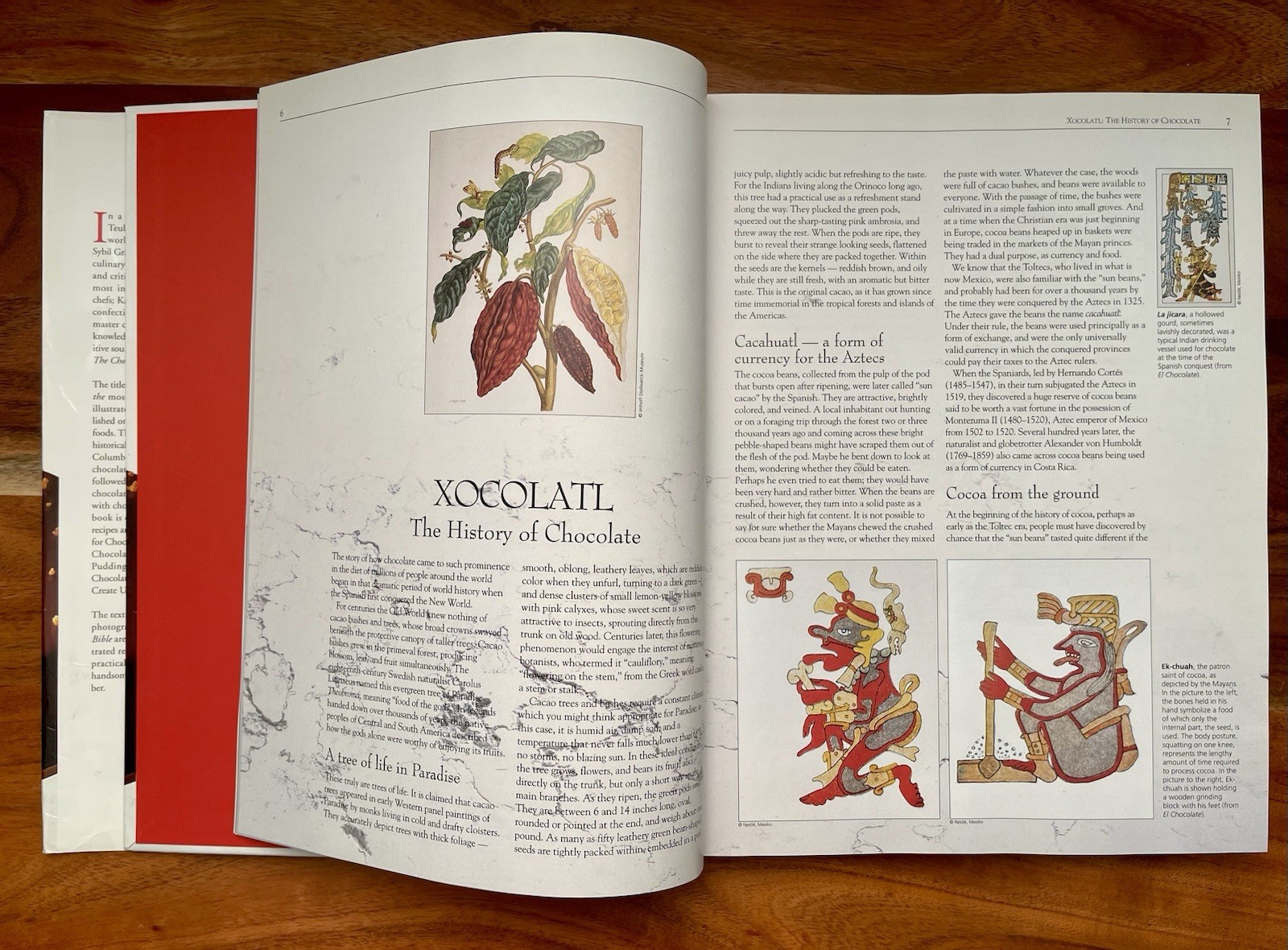 The Chocolate Bible Hardcover The Definitive Sourcebook With 600+ Illustrations