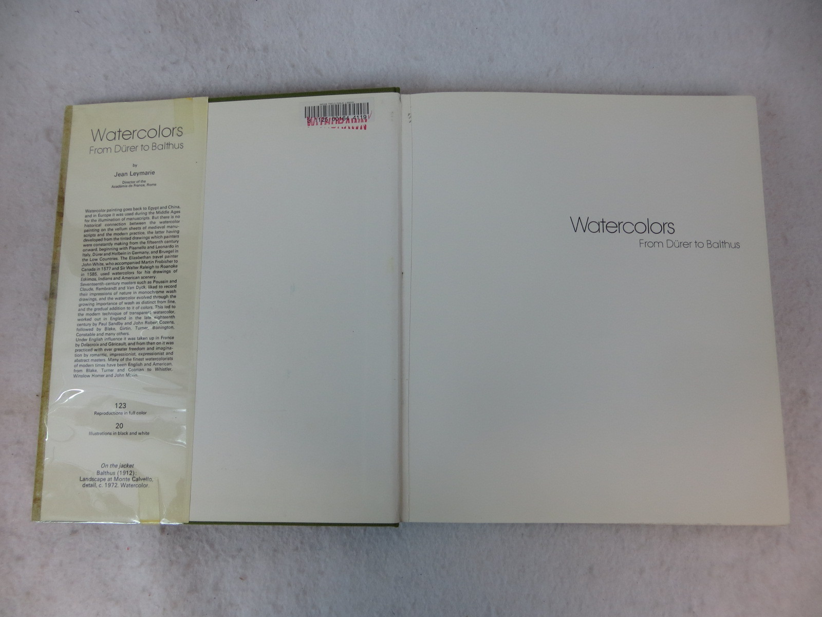 Jean Leymarie WATERCOLORS FROM DURER TO BALTHUS Skira 1984