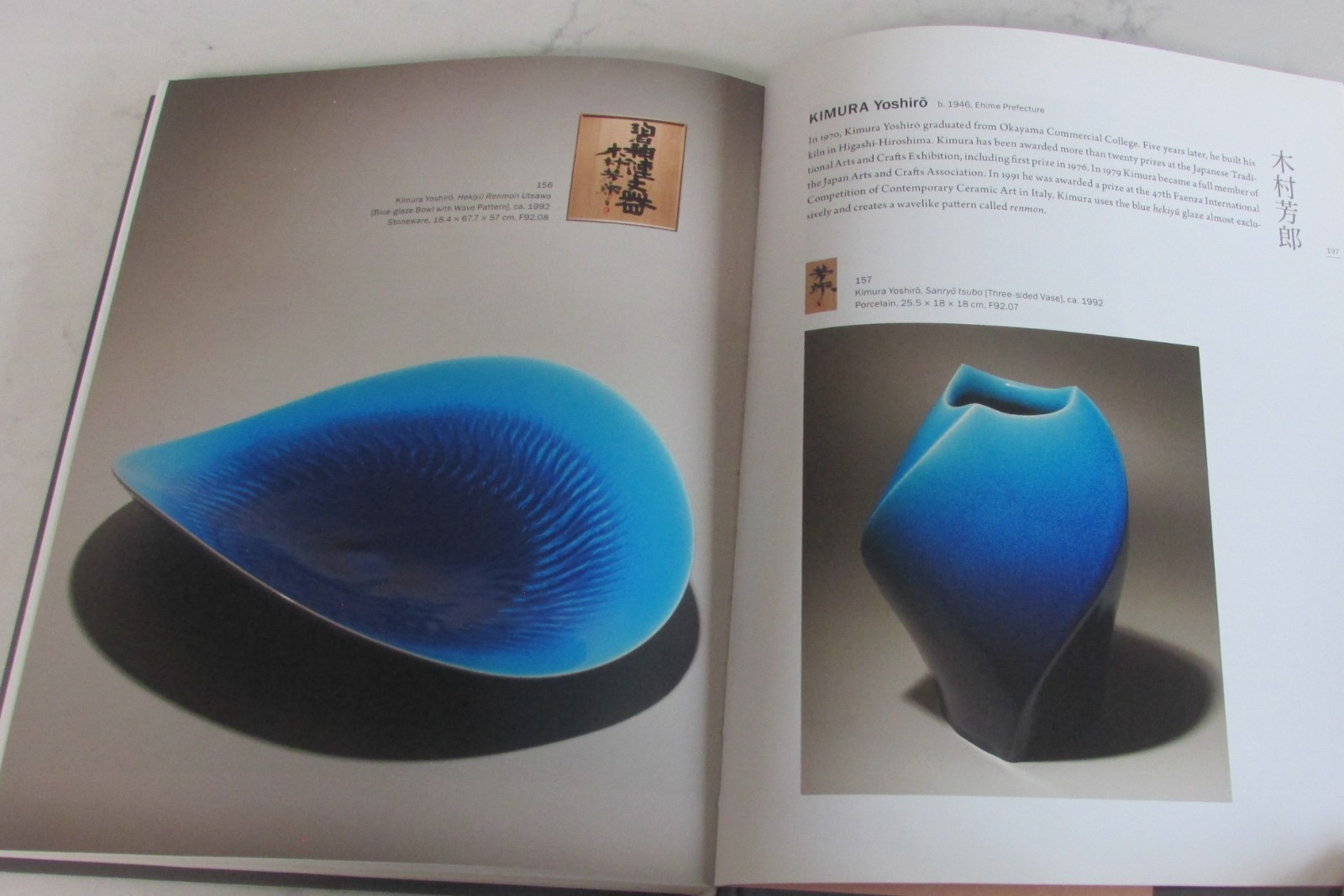 JAPANESE CERAMICS FOR THE TWENTY-FIRST CENTURY (Mintx) Feinberg Collection