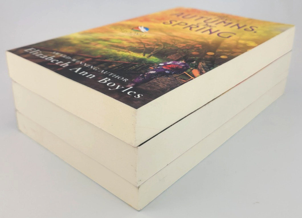 Dragonfly Trilogy Elizabeth Ann Boyles 1-3 Complete Book Set Historical Fiction