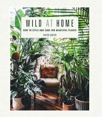 Wild at Home: How to style and care for beautiful plants by Carter, Hilton
