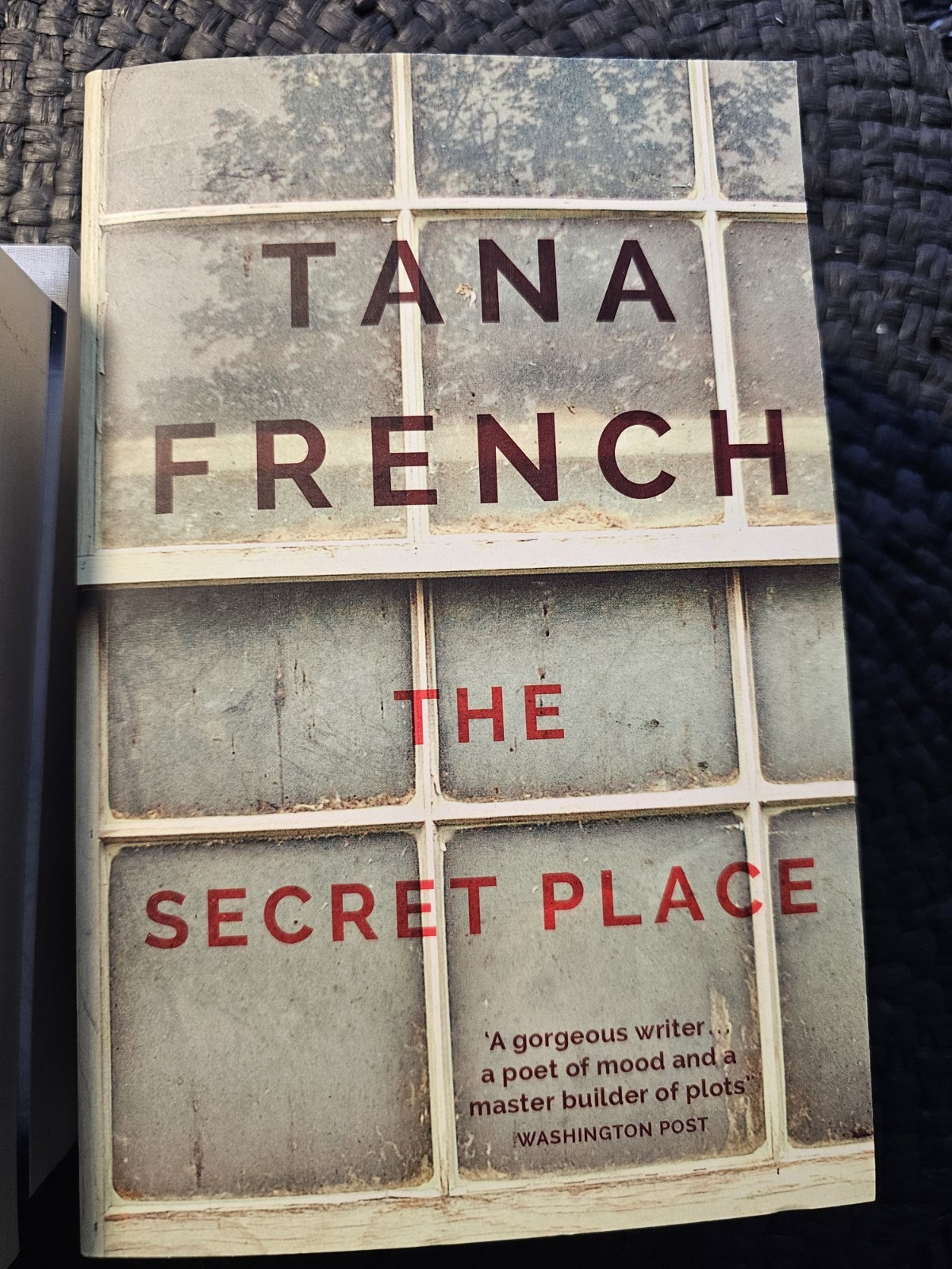 Tana French*the Trespasser *broken Harbour *the Likeness *secret Place*woods