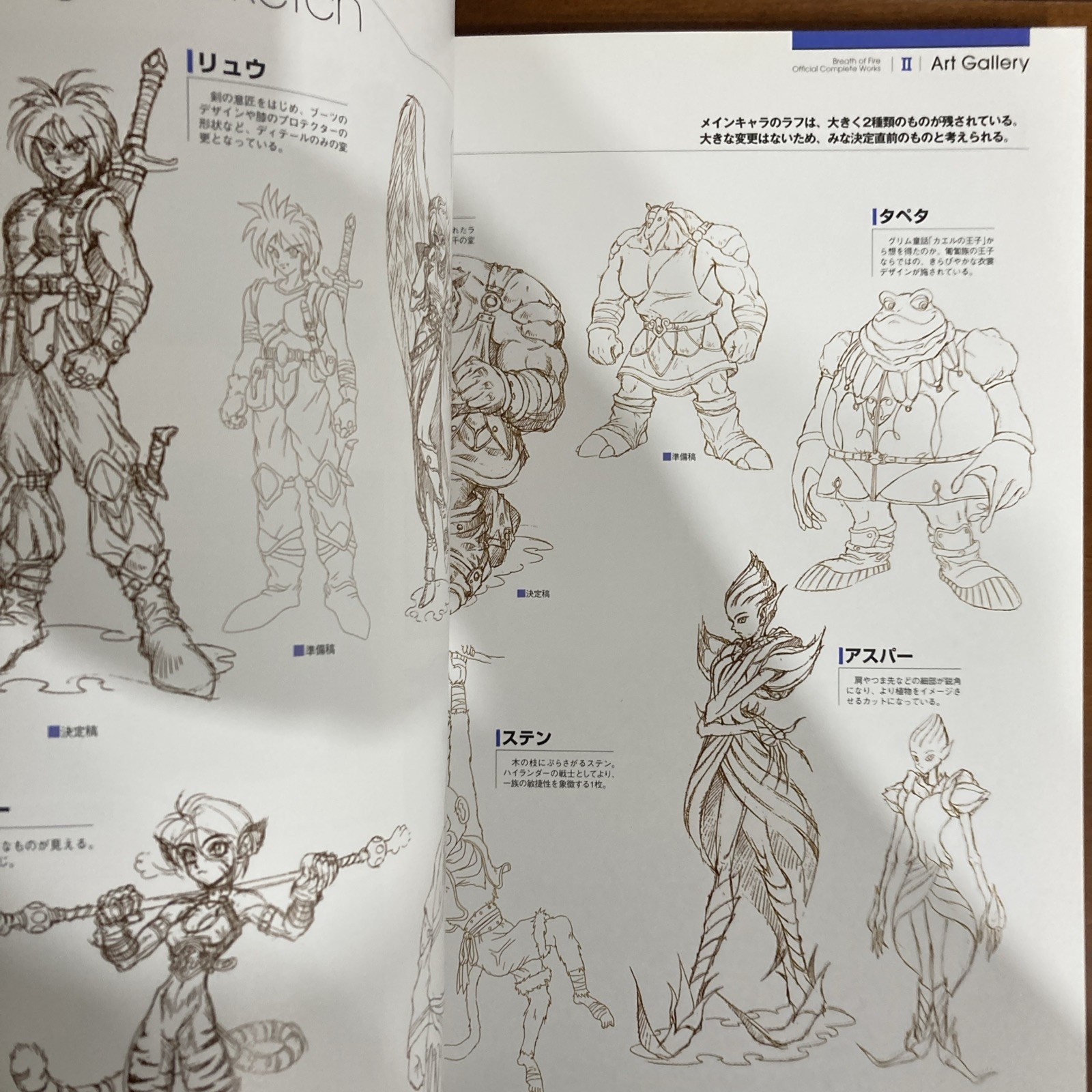 Breath Of Fire Official Complete Works Art Book Capcom Illustration